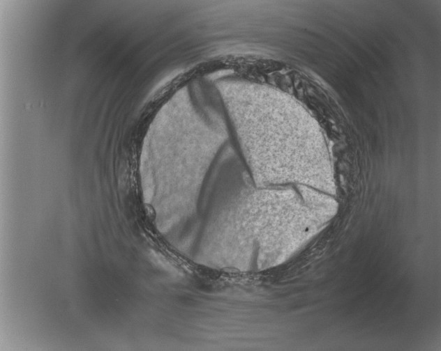 X0000080110775200612301943