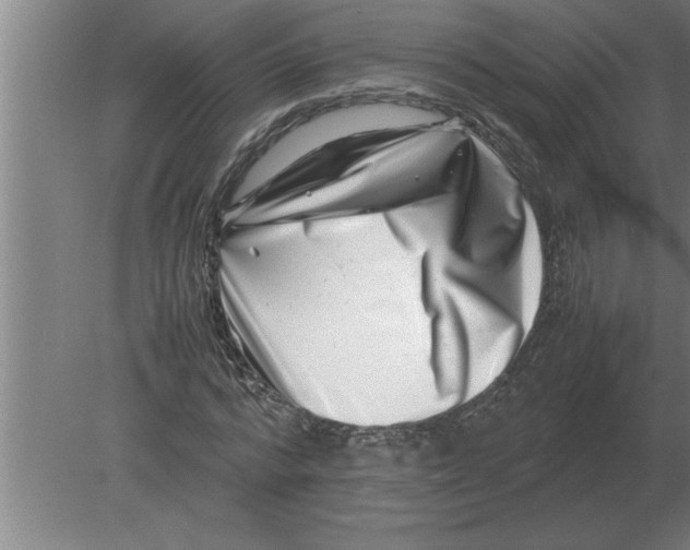 X0000080110776200612301943