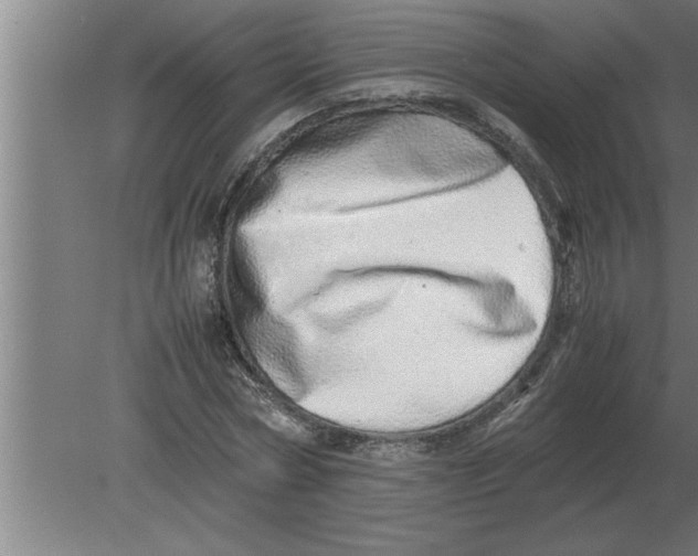 X0000080110778200612301943