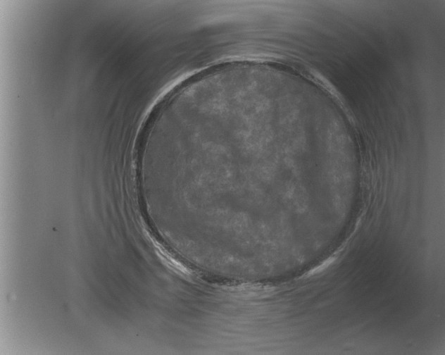 X0000080110779200612301943