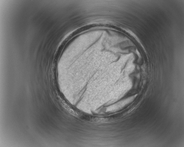 X0000080110783200612301942