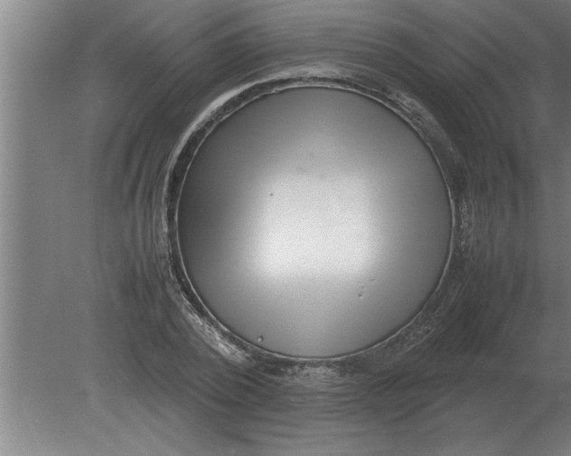 X0000080110784200612301942