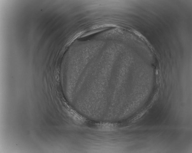 X0000080110785200612301942