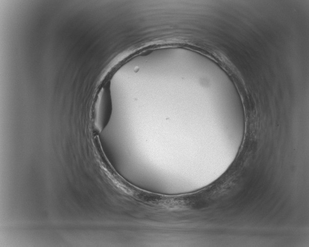 X0000080110789200612301942