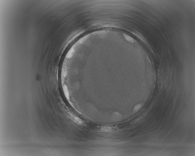 X0000080110790200612301942