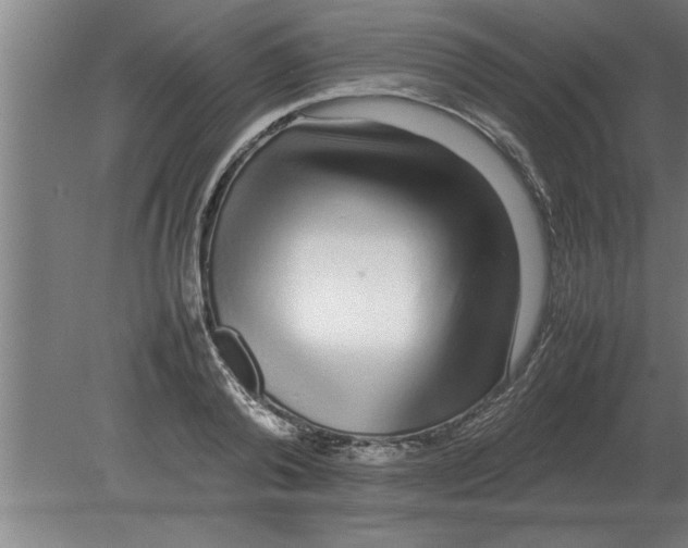 X0000080110792200612301942