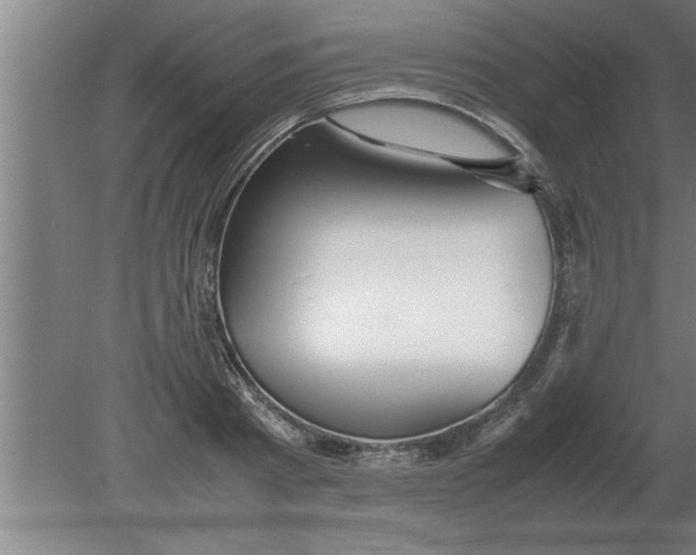 X0000080110793200612301942