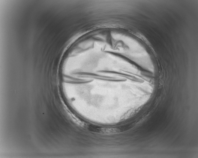 X0000080110795200612301942