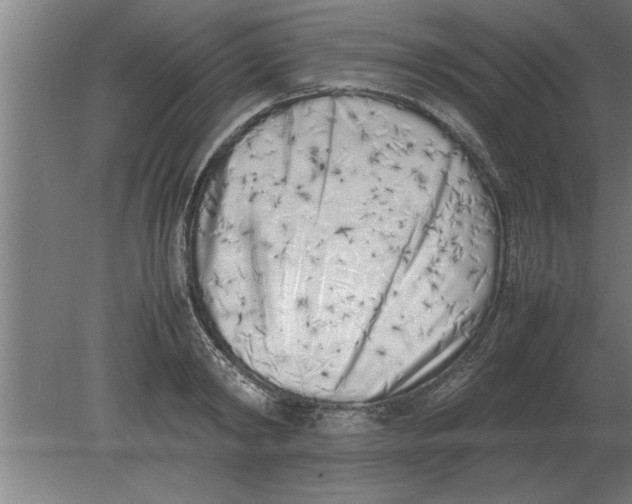 X0000080110798200612301942