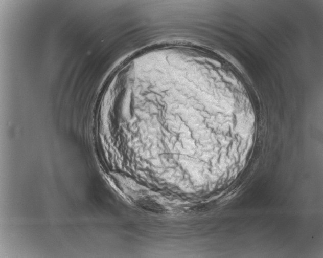 X0000080110799200612301942