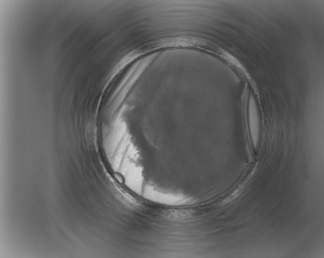 X0000080110802200612301942