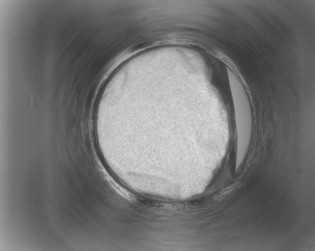 X0000080110803200612301942