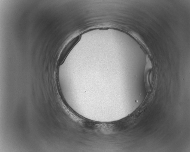 X0000080110805200612301942