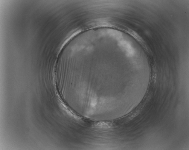 X0000080110806200612301942