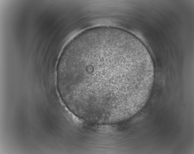 X0000080110807200612301942