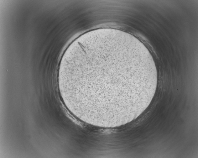 X0000080110808200612301942