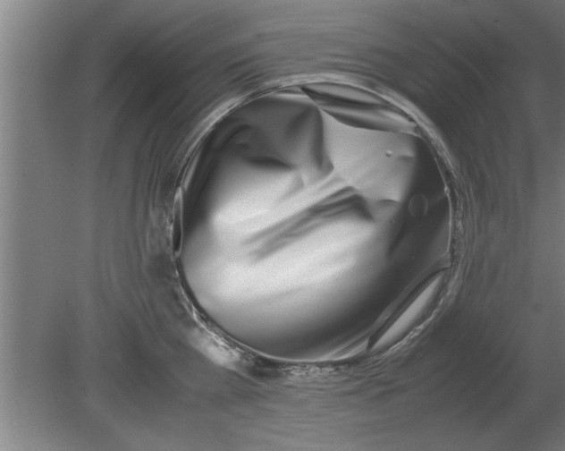 X0000080110809200612301942