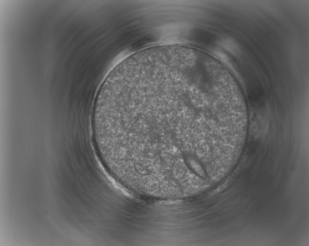 X0000080110810200612301942