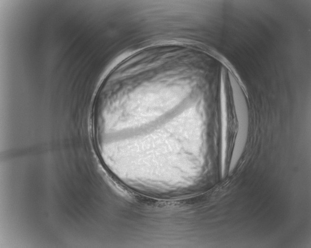 X0000080110811200612301942