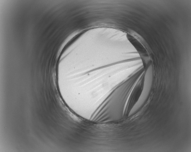 X0000080110812200612301942