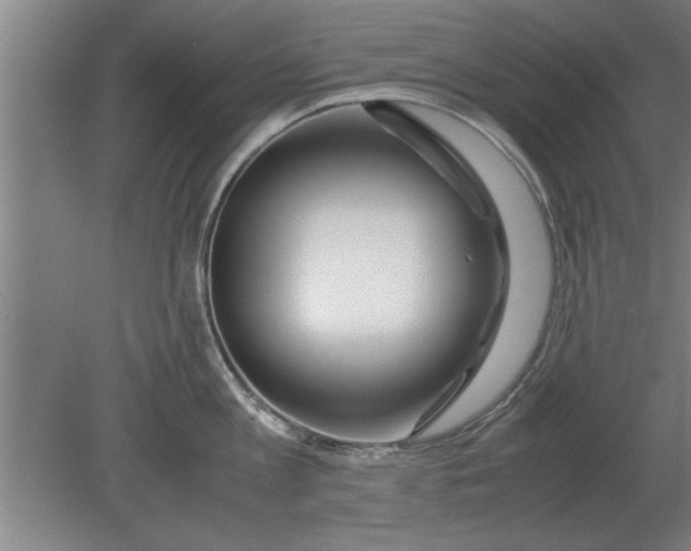 X0000080110813200612301942