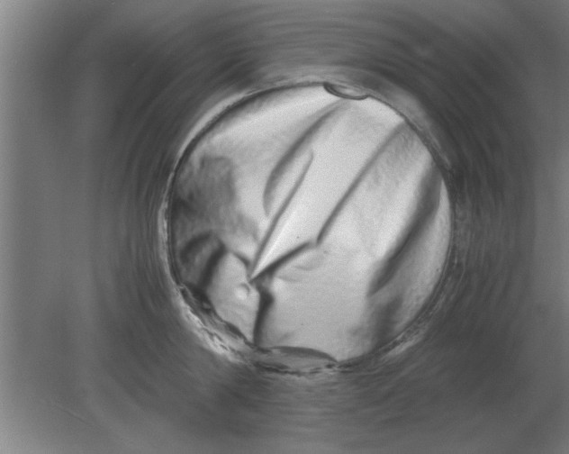 X0000080110814200612301942