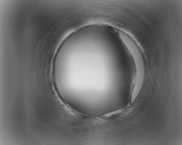 X0000080110815200612301942