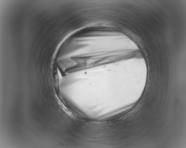 X0000080110816200612301942