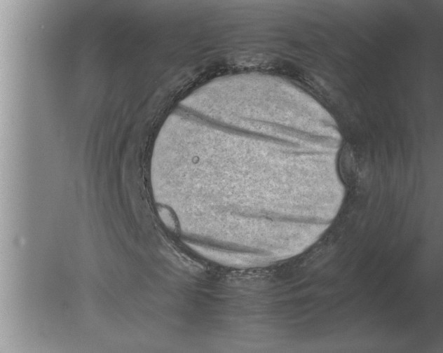 X0000080110817200612301941