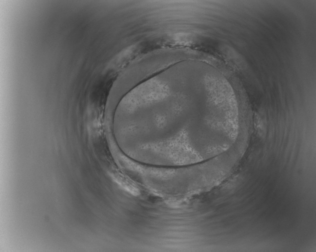 X0000080110818200612301941