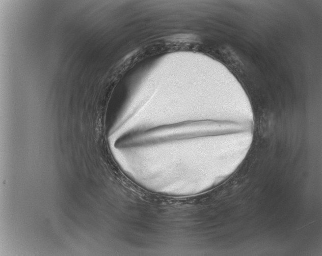 X0000080110821200612301941