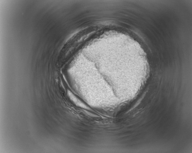 X0000080110823200612301941