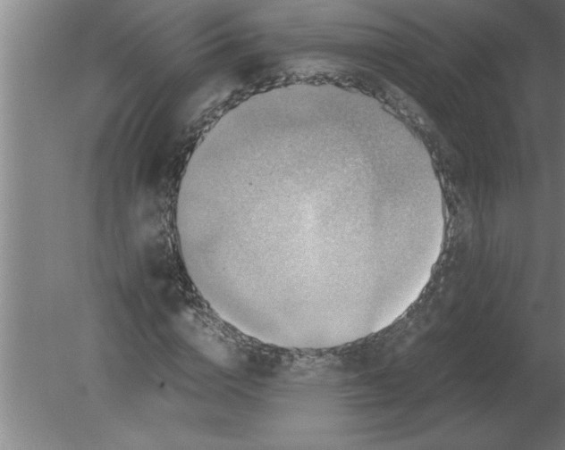 X0000080110824200612301941