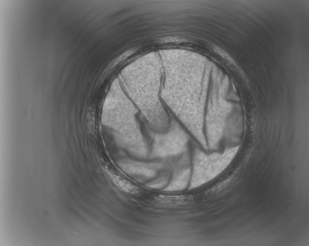 X0000080110825200612301941