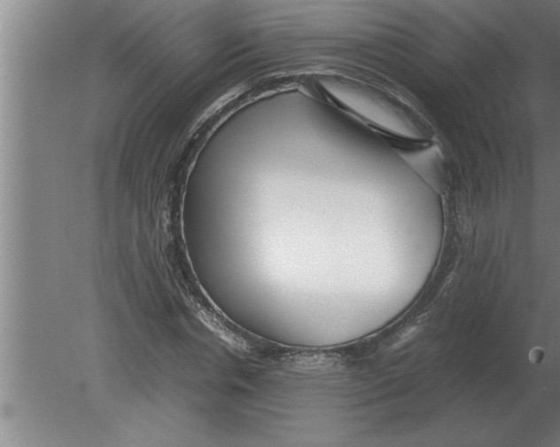 X0000080110826200612301941