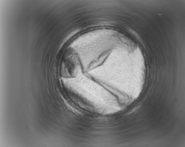 X0000080110827200612301941