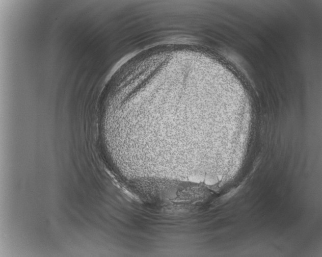 X0000080110829200612301941