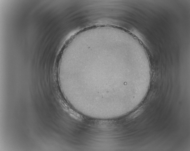 X0000080110832200612301941