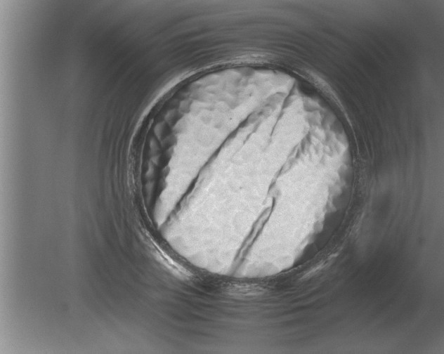 X0000080110835200612301941