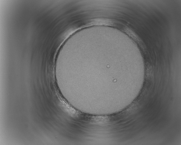 X0000080110836200612301941