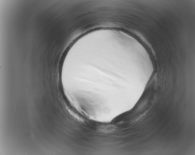 X0000080110837200612301941