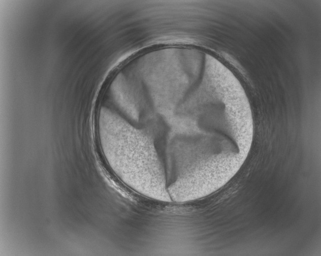 X0000080110840200612301941