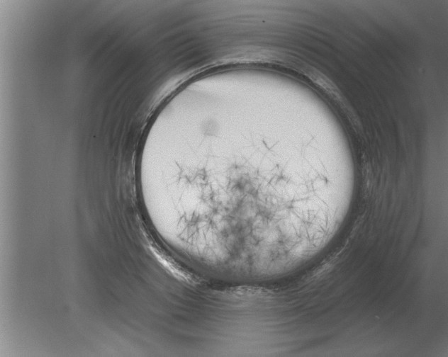 X0000080110842200612301941