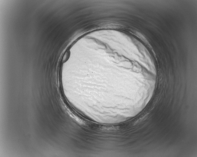 X0000080110843200612301942