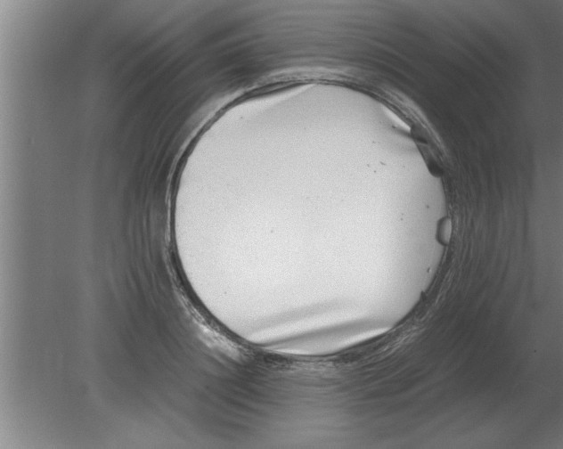 X0000080110844200612301942