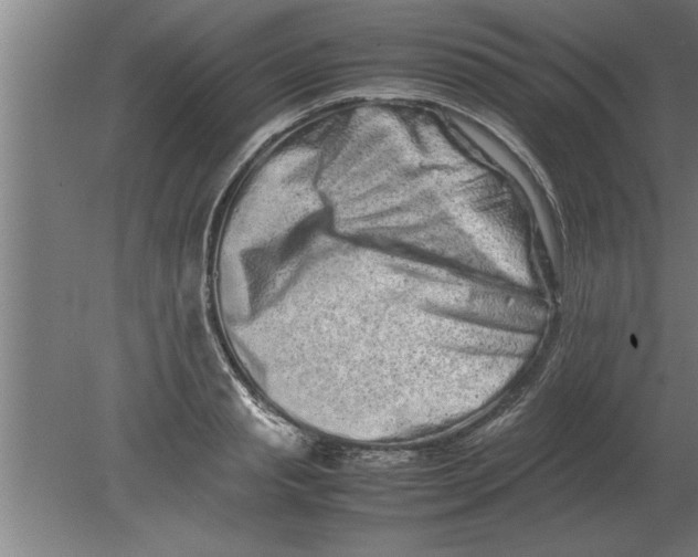 X0000080110845200612301942