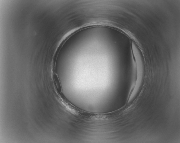 X0000080110846200612301942