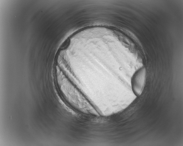 X0000080110847200612301942