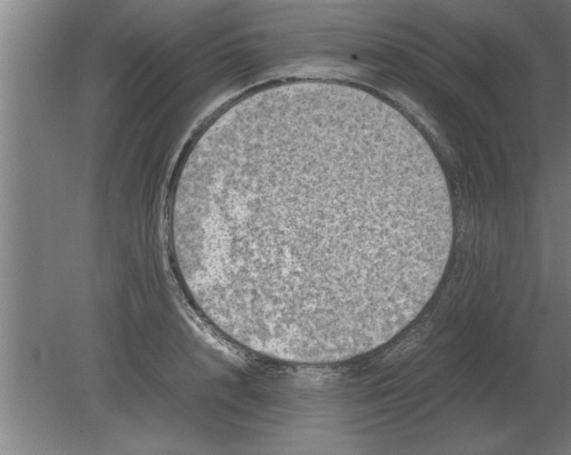 X0000080110848200612301942