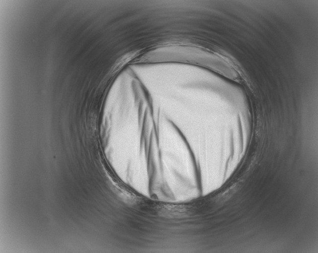 X0000080110849200612301942